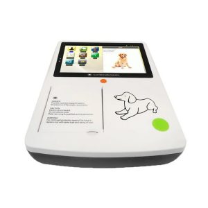 3 channels ecg veterinary electrocardiography ekg machines with interpretation print