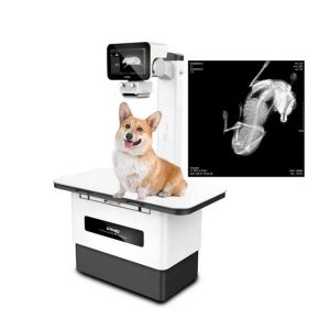 Digital Imaging System Veterinary X Ray Equipment