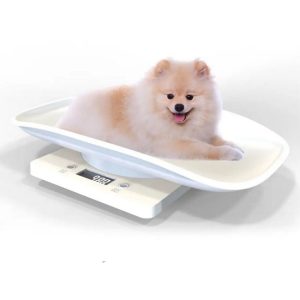 Small Pet Scale Cat and dog Weight Weighing Scale