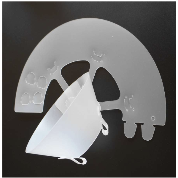Elizabethan collar C
