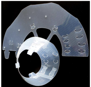 Elizabethan collar D