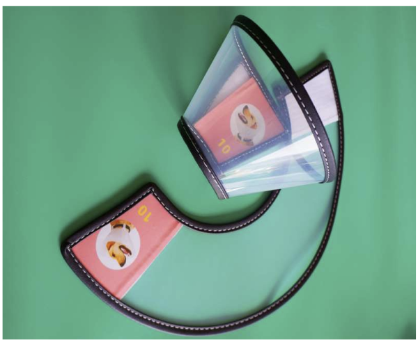 Elizabethan collar E - Image 3