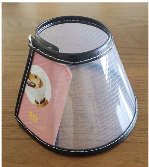 Elizabethan collar E - Image 2