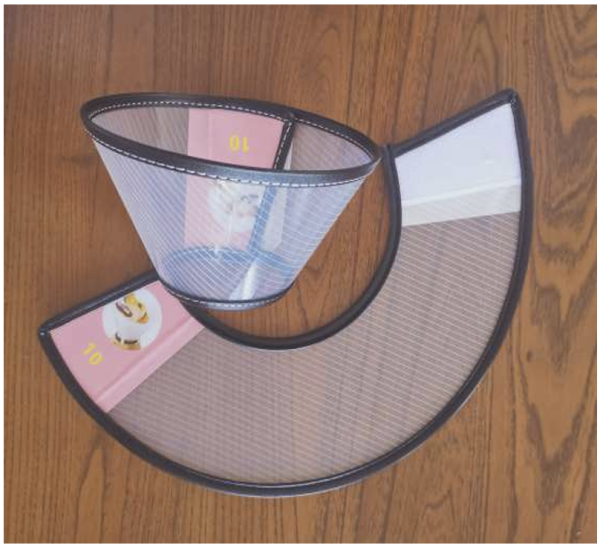 Elizabethan collar E