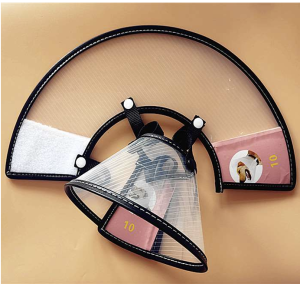 Elizabethan collar ED