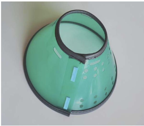 Elizabethan collar F - Image 2